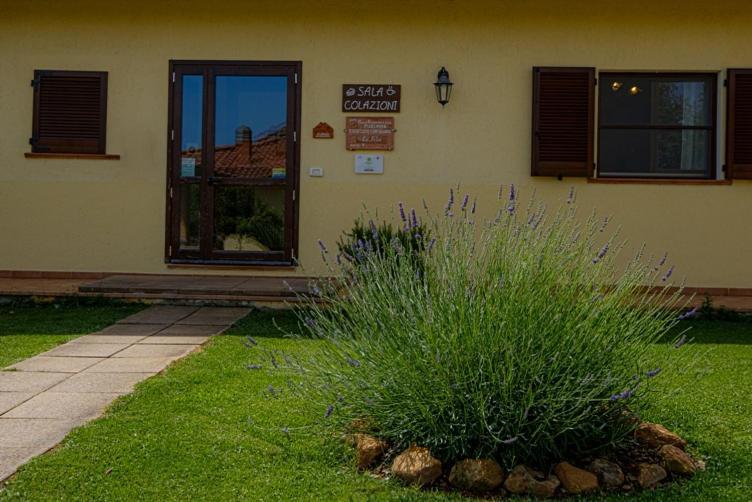 Agriturismo La Fata Grosseto Buitenkant foto